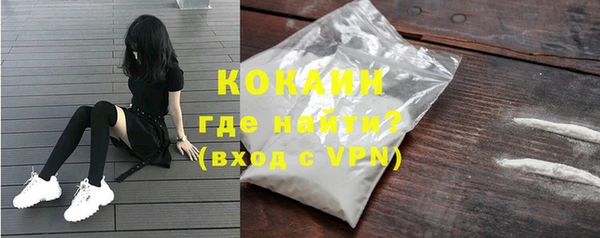 стаф Белокуриха