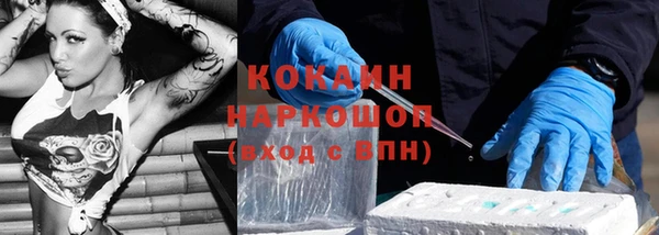 стаф Белокуриха