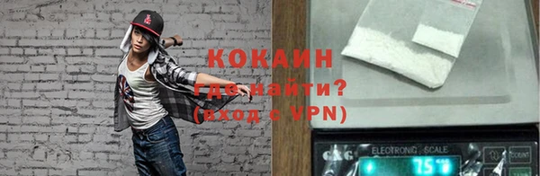 стаф Белокуриха