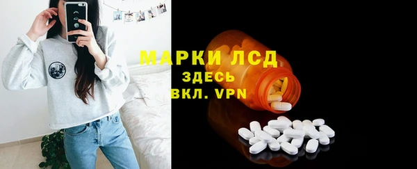 индика Сосновый Бор