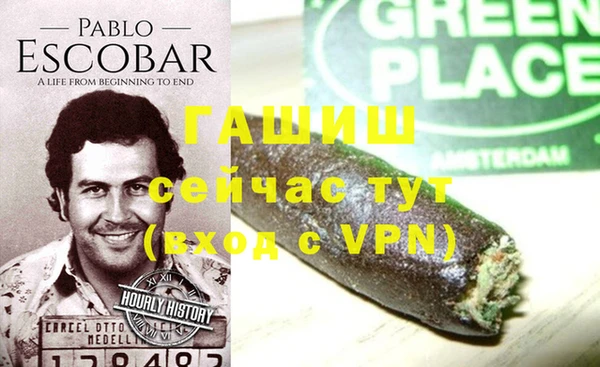 стаф Белокуриха