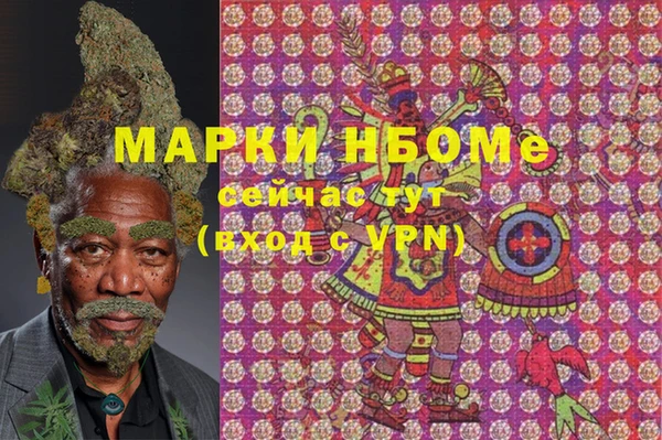 стаф Белокуриха