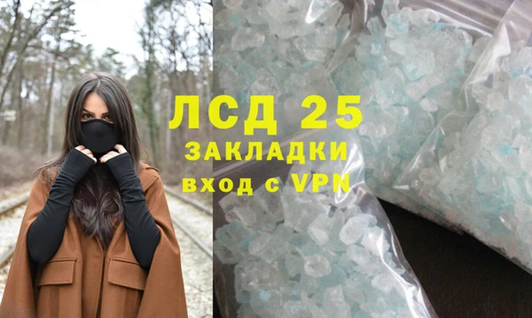 PSILOCYBIN Сосновка