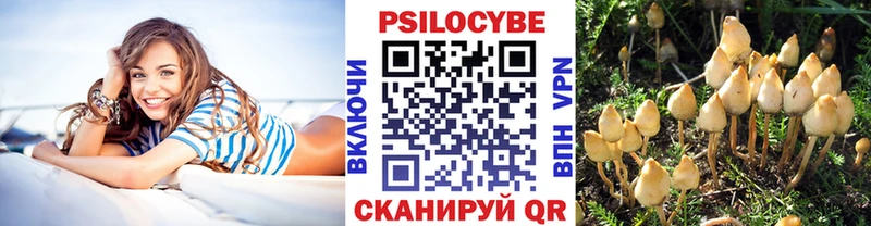 Псилоцибиновые грибы мухоморы  сайты даркнета телеграм  Великий Устюг 